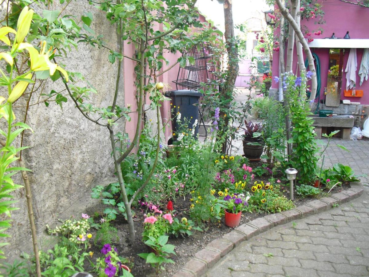 La Baraque Colmar Exterior foto